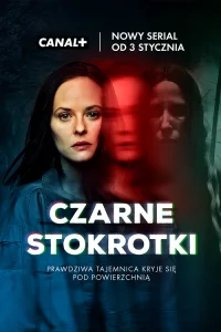 Странные Ангелы